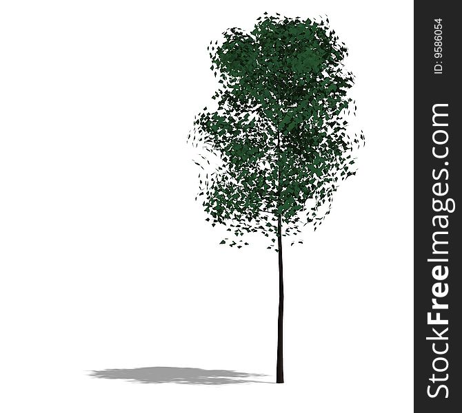 3D Render of a broadleef Tree