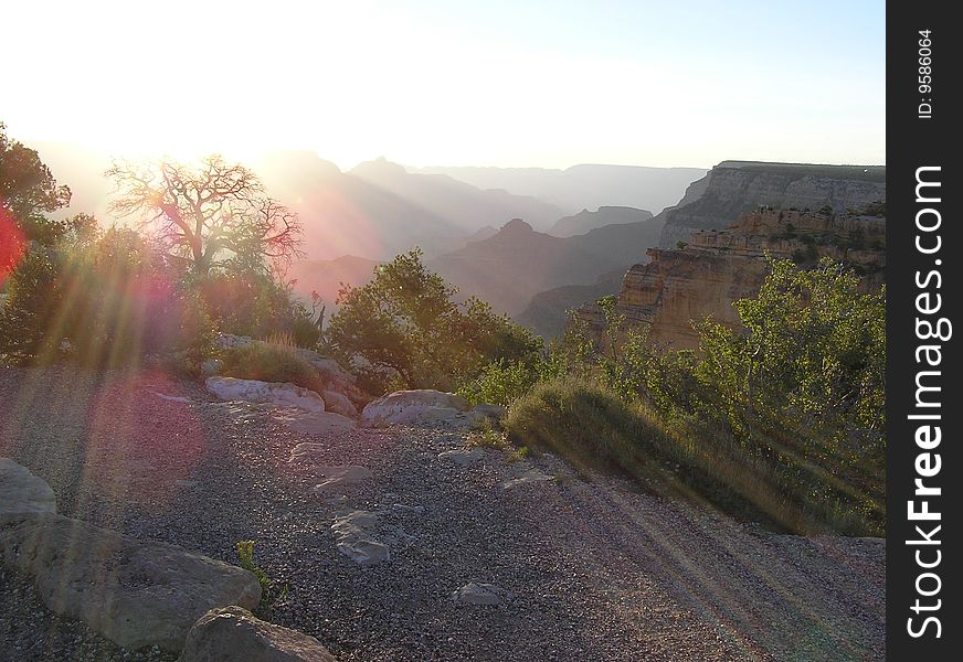 Early morning in mountain, in ray rising sun lonesome costing tree