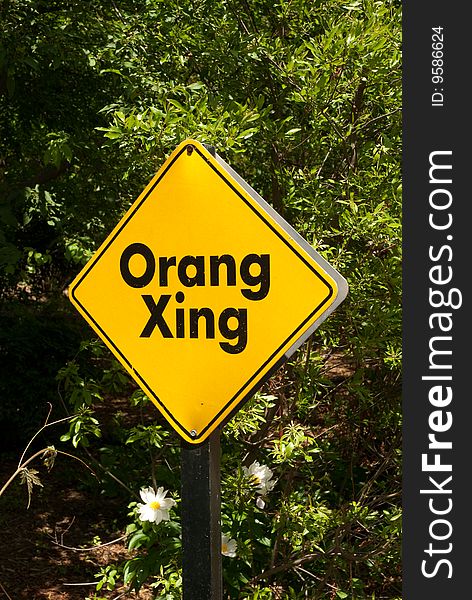 Bright yellow sign indicating orangutan crossing