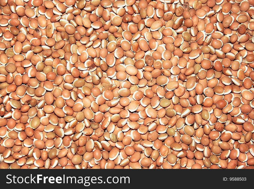 Food background from bean, textures