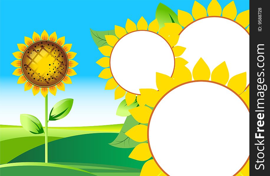 Vector illustration of beautiful sunflower. Summer landscape. Vector illustration of beautiful sunflower. Summer landscape