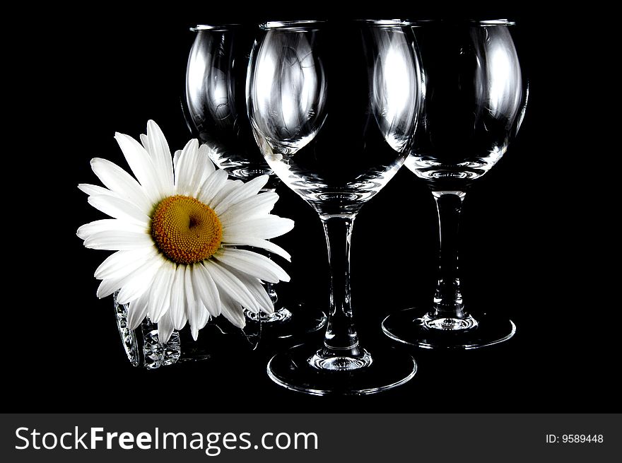 Empty cocktail glasses on black