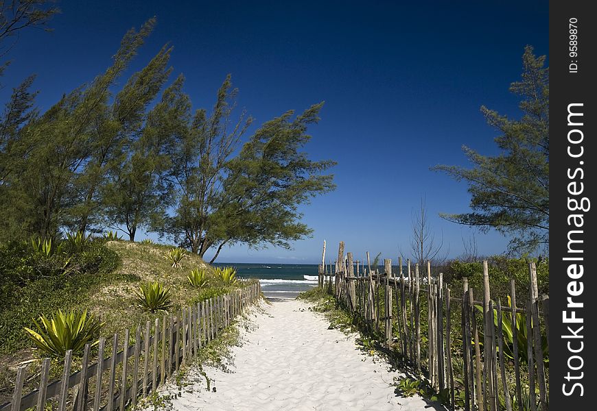 A sand path to the beach. Great cloudless blue sky. A sand path to the beach. Great cloudless blue sky.