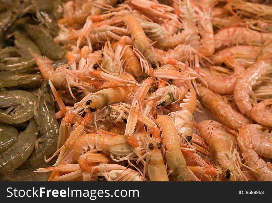 Fresh prawns and shrimps on the market.