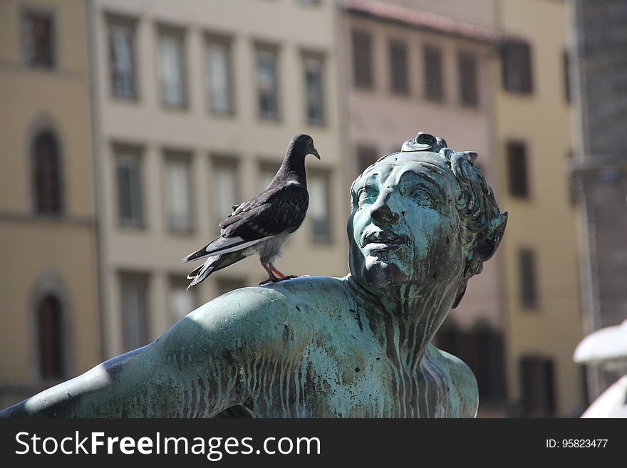 Statue, Sculpture, Monument, Pigeons And Doves