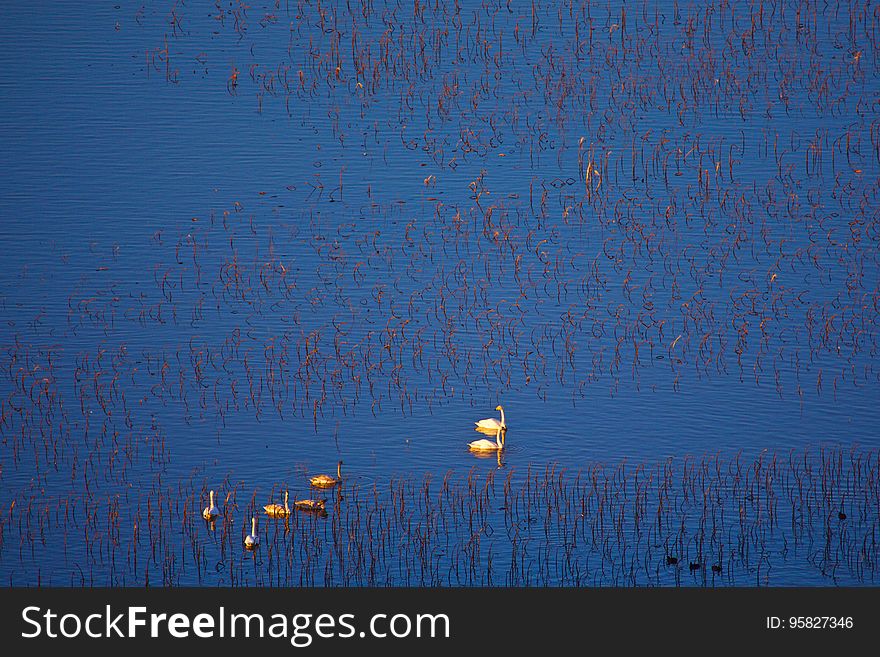 Blue, Sky, Water, Atmosphere