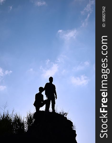 Sky, Cloud, Silhouette, Tree