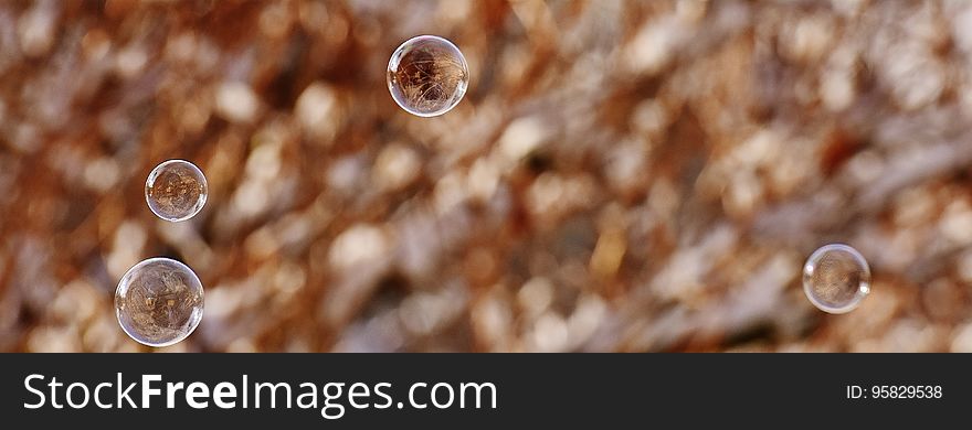 Water, Macro Photography, Close Up, Stock Photography