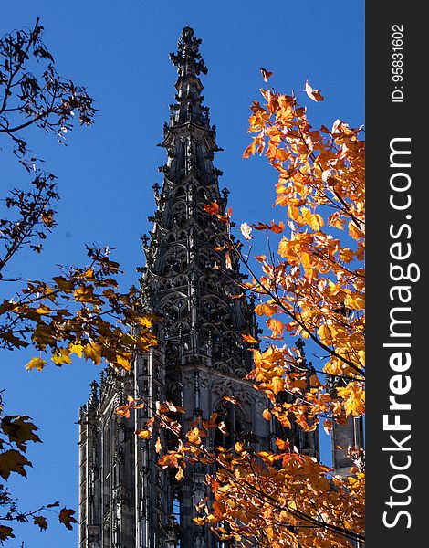 Sky, Landmark, Tree, Tower