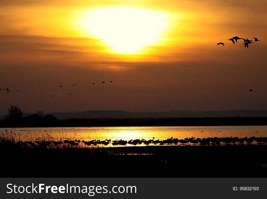 Sky, Afterglow, Horizon, Sunset