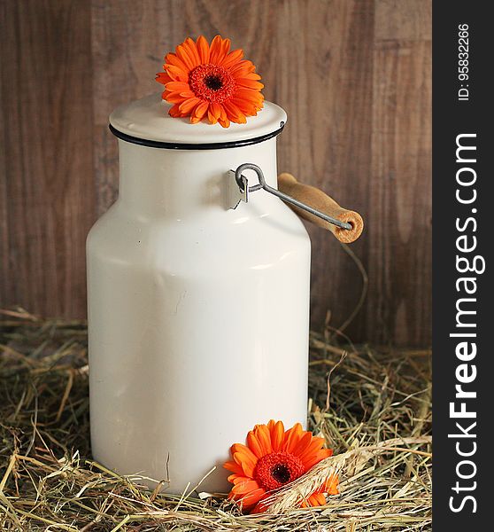 Vase, Flower, Ceramic, Still Life Photography