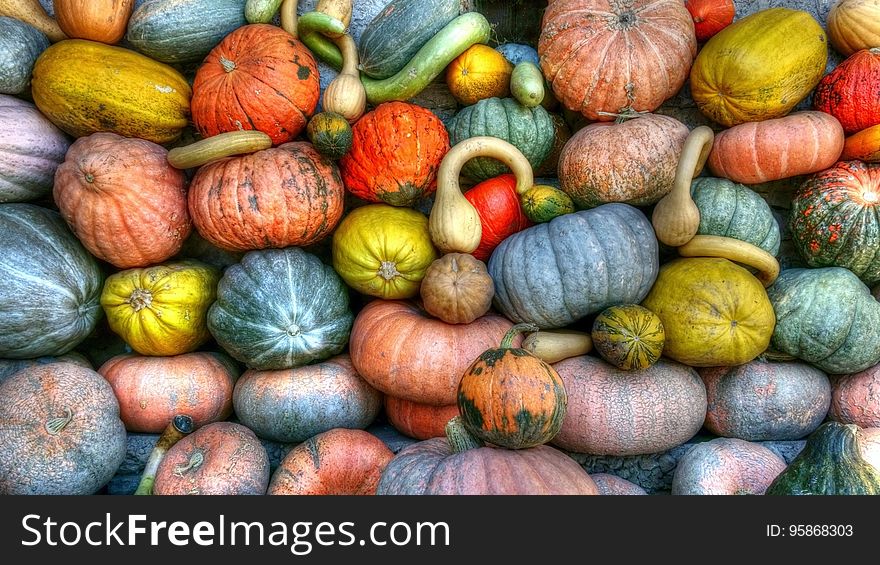 Green Orange And Yellow Pumpkins