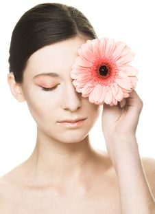 Young Woman With Gerber Royalty Free Stock Photography Young Woman With Gerber Royalty Free Stock Photography