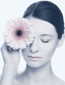Young Woman With Gerber Royalty Free Stock Photography Young Woman With Gerber Royalty Free Stock Photography