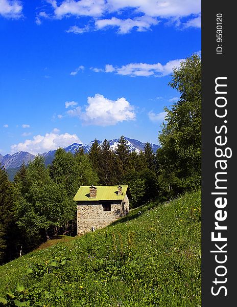 Meadow of mountain flowers and refuges. Meadow of mountain flowers and refuges