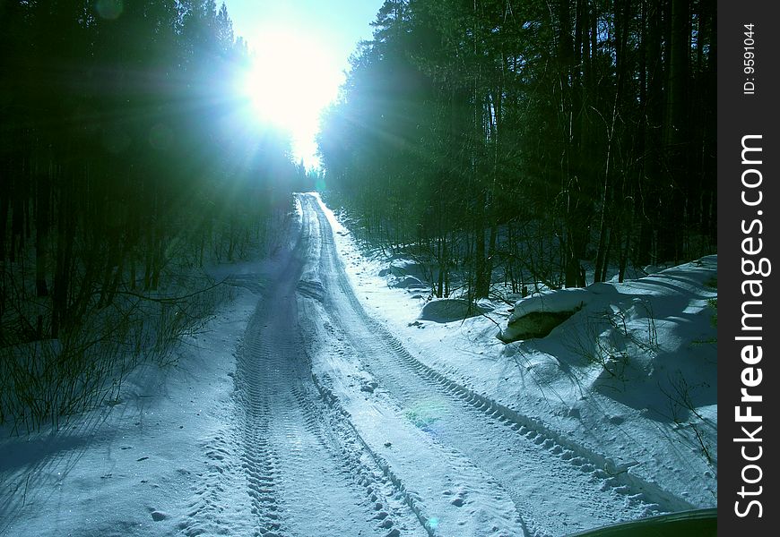 Winter solar road to wood. Winter solar road to wood