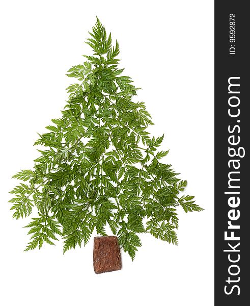 Decorative cristmas spruce