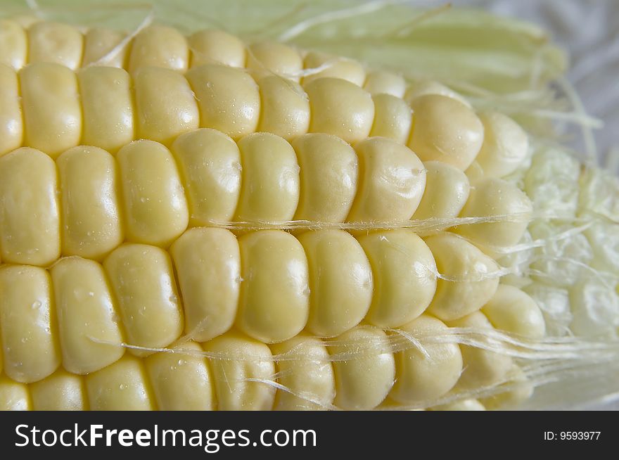 A very fresh young sweet corn