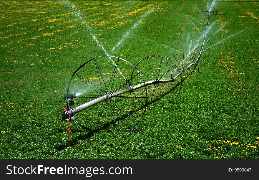 Sprinklers running on alfalfa feed in the spring in Bliane County Idaho. Sprinklers running on alfalfa feed in the spring in Bliane County Idaho