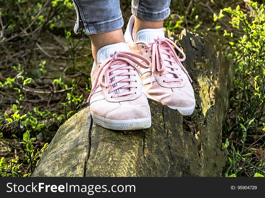 Footwear, Shoe, Grass, Tree