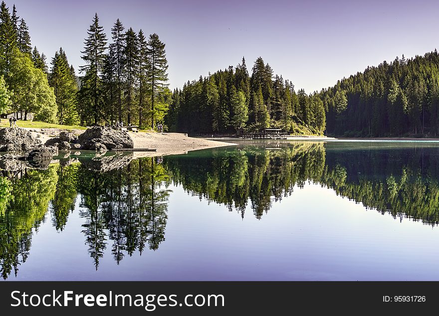 Pine Trees Reflecting In Waterfront