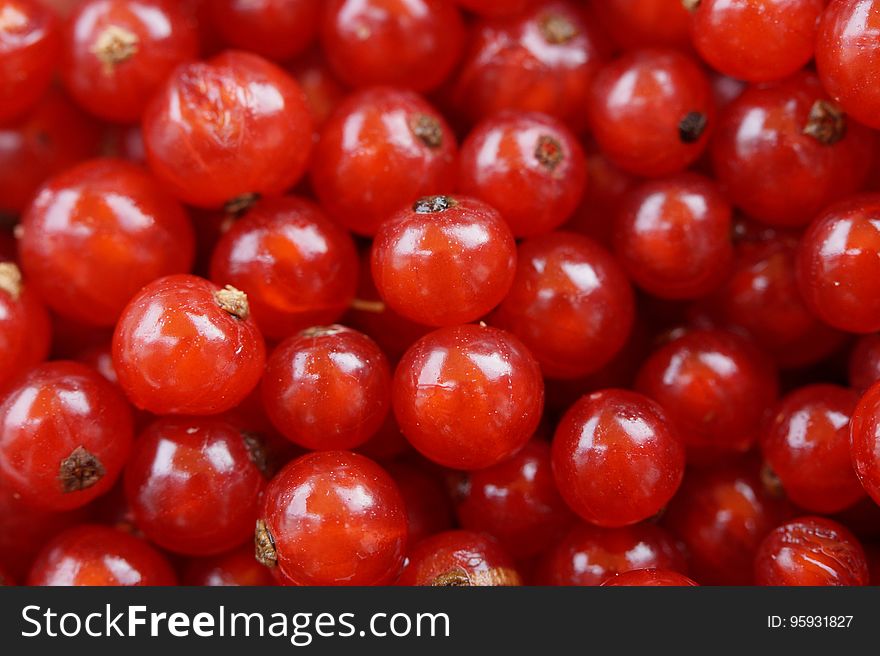 Red Round Small Fruit