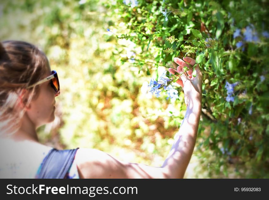 A woman looking at a flower in a hedge. A woman looking at a flower in a hedge.