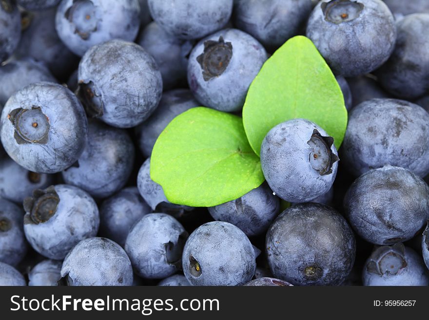 Fruit, Blueberry, Food, Produce