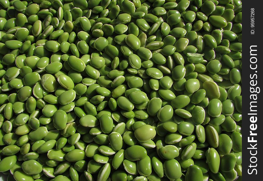 Bean, Lima Bean, Ingredient, Commodity
