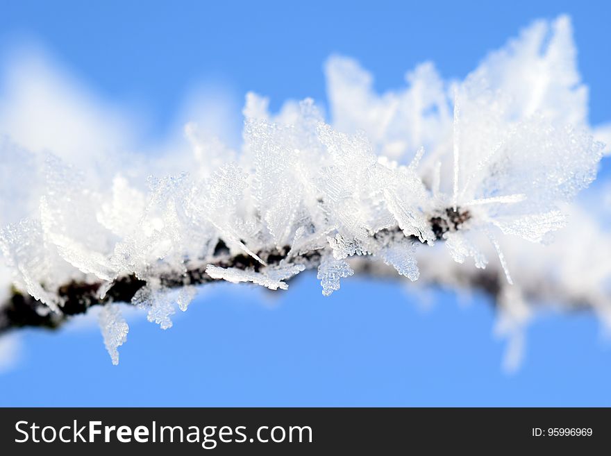 Close-up of Frozen Tree Branch Against Blue Sky