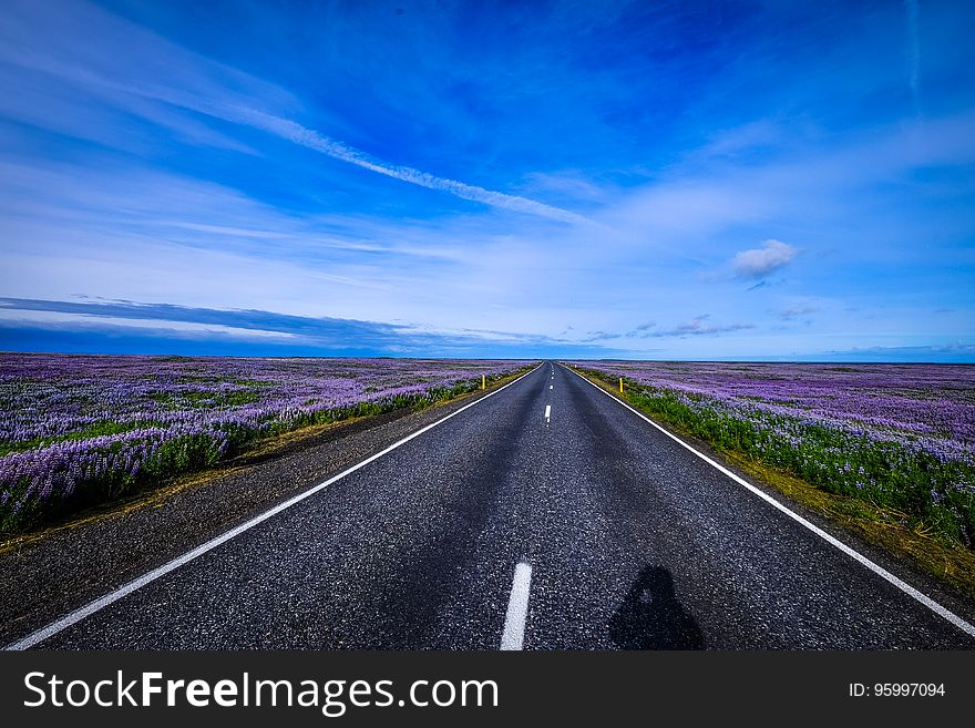 A highway passing through a heathland. A highway passing through a heathland.