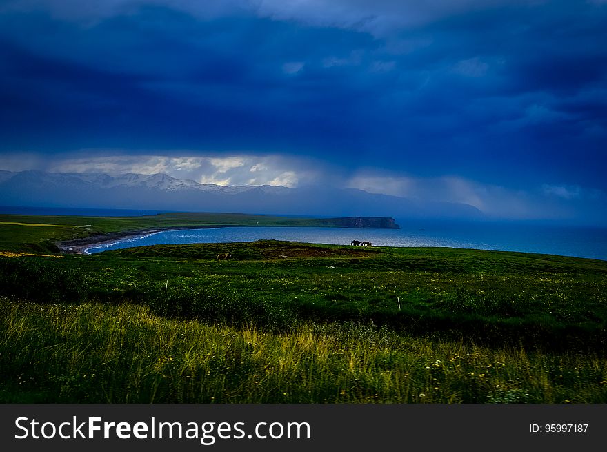 Pasture land leading to the sea which is either a narrow bay or a river estuary with brooding clouds overhead and flash of light brightening the fields. Pasture land leading to the sea which is either a narrow bay or a river estuary with brooding clouds overhead and flash of light brightening the fields.