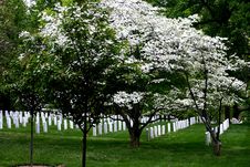 Arlington National Cemetery Stock Images