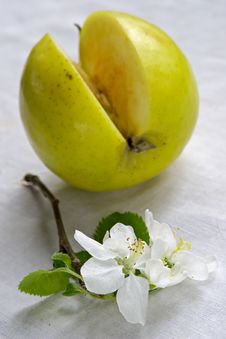 Life Of Green Apple Royalty Free Stock Photo Life Of Green Apple Royalty Free Stock Photo