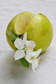 Life Of Green Apple Stock Photos Life Of Green Apple Stock Photos