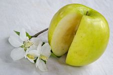 Life Of Green Apple Royalty Free Stock Image Life Of Green Apple Royalty Free Stock Image