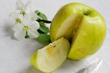 Life Of Green Apple Stock Photo Life Of Green Apple Stock Photo