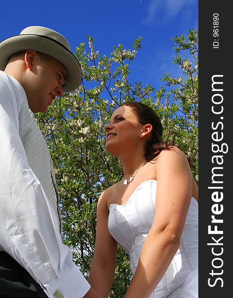 Bride and groom holding hands and looking at each other, clear blue sky in backgroun and trees. Bride and groom holding hands and looking at each other, clear blue sky in backgroun and trees