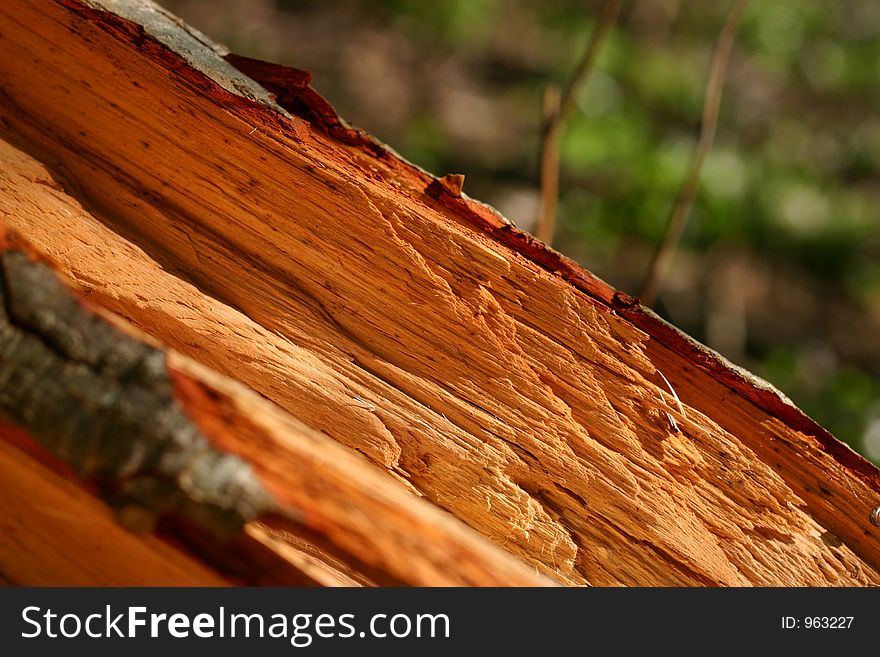 Wooden texture on a green background