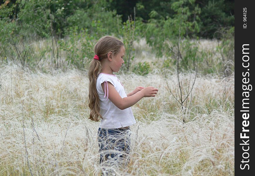 Child In Field Of  Ears