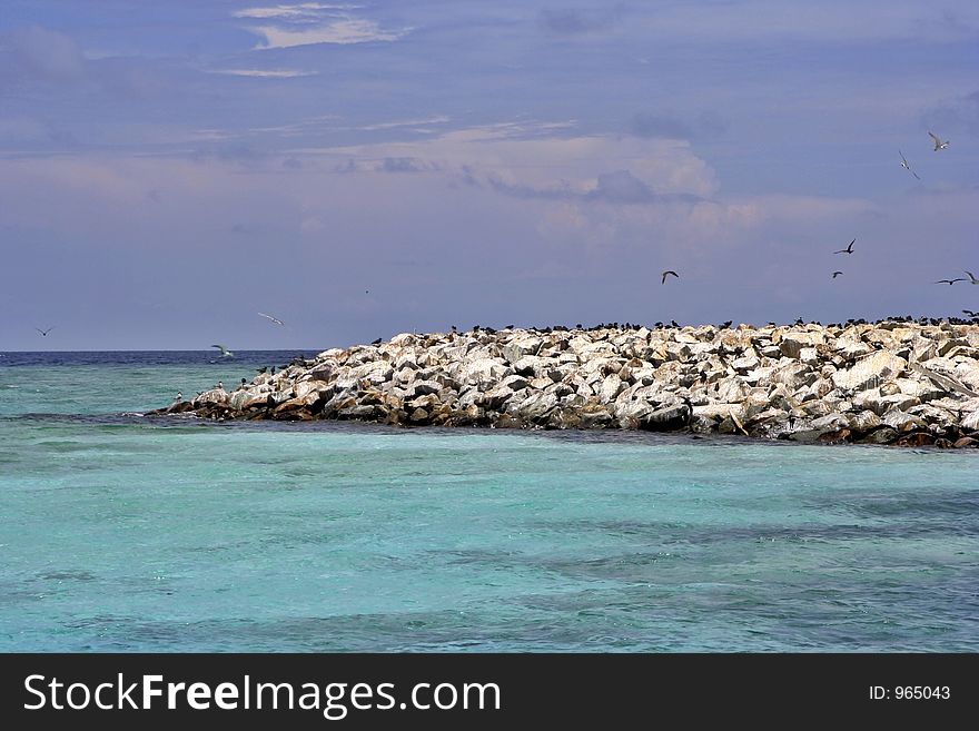 Rocky island, home for the terns. Rocky island, home for the terns