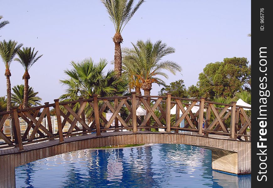 Palm trees around swimming pool. Palm trees around swimming pool