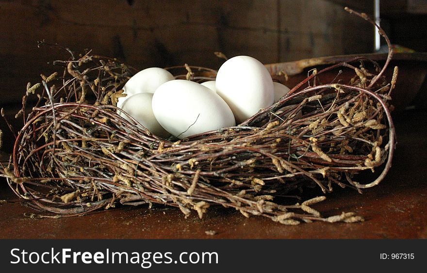 Eggs in nest. Eggs in nest