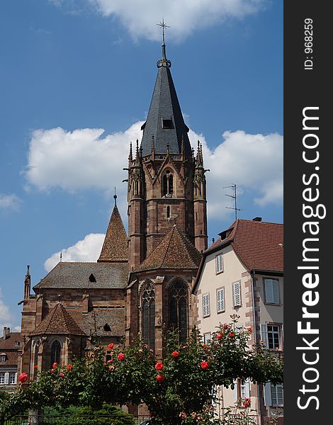 Rosebushes grow around the old gothic church at Wissembourg in the Alsace region of France. Rosebushes grow around the old gothic church at Wissembourg in the Alsace region of France.