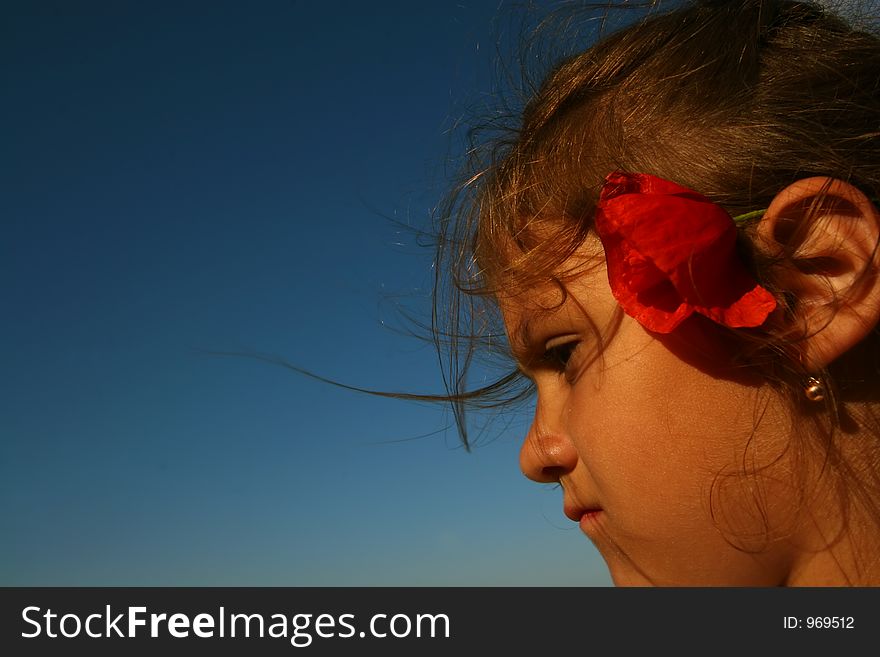 Little girl with red flowers. Little girl with red flowers