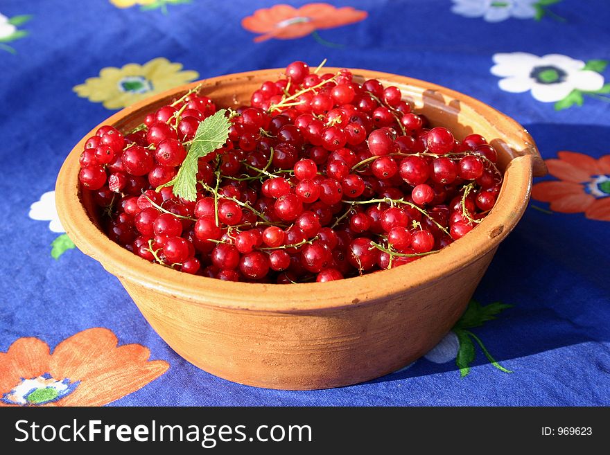 Clay-pot hundred years old - welcomes currant berries. Clay-pot hundred years old - welcomes currant berries