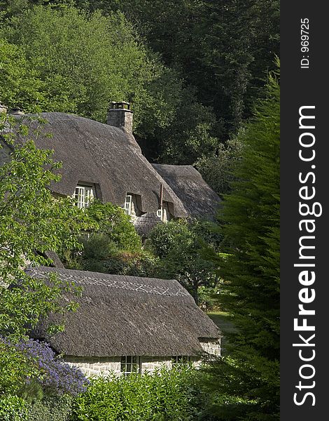 Pair of thatched cottages nestled in woods. Pair of thatched cottages nestled in woods