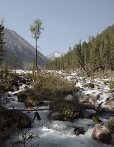 River Kucherla Royalty Free Stock Photography River Kucherla Royalty Free Stock Photography