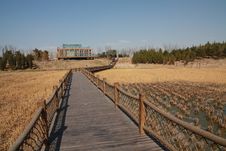 China Beijing Olympic Forest Park Royalty Free Stock Image China Beijing Olympic Forest Park Royalty Free Stock Image