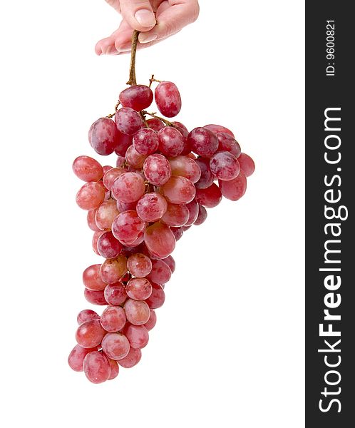 Grapes In Women Hand